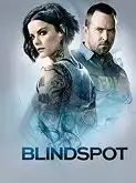 Blindspot S03E22 online sa prevodom - Maša Filmovi